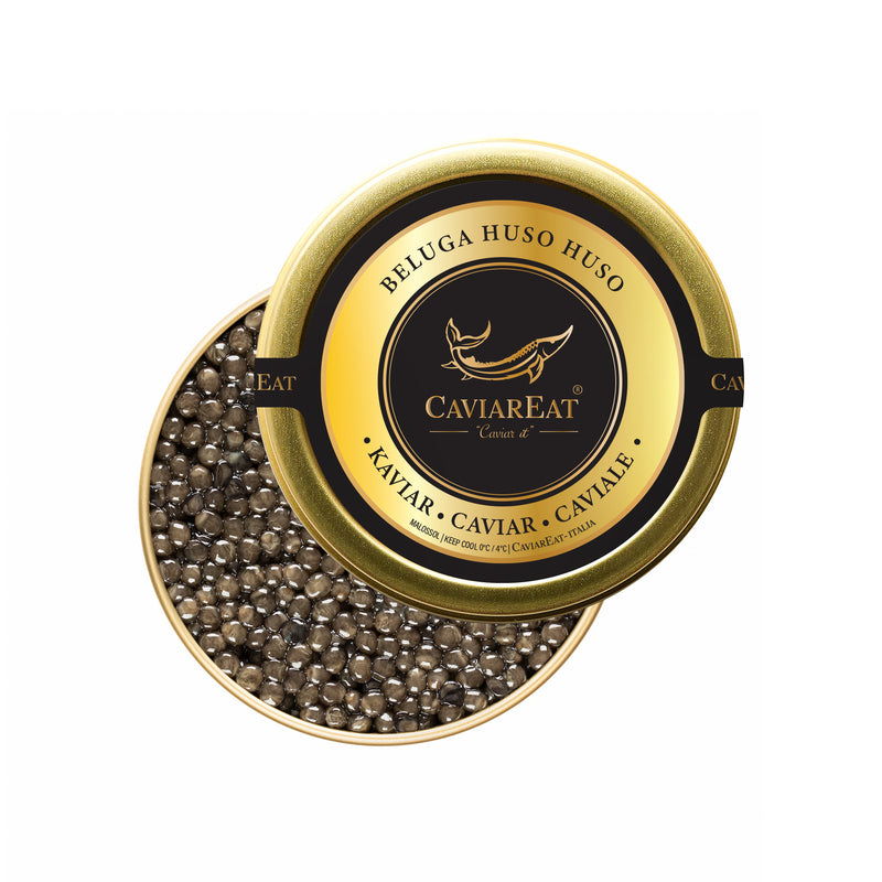 Caviar Beluga Huso Huso